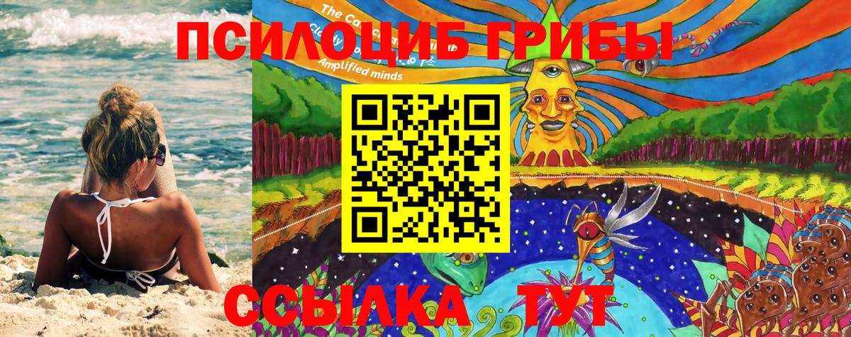 Кингисепп  Галлюциногенные грибы мицелий  Вход с VPN 